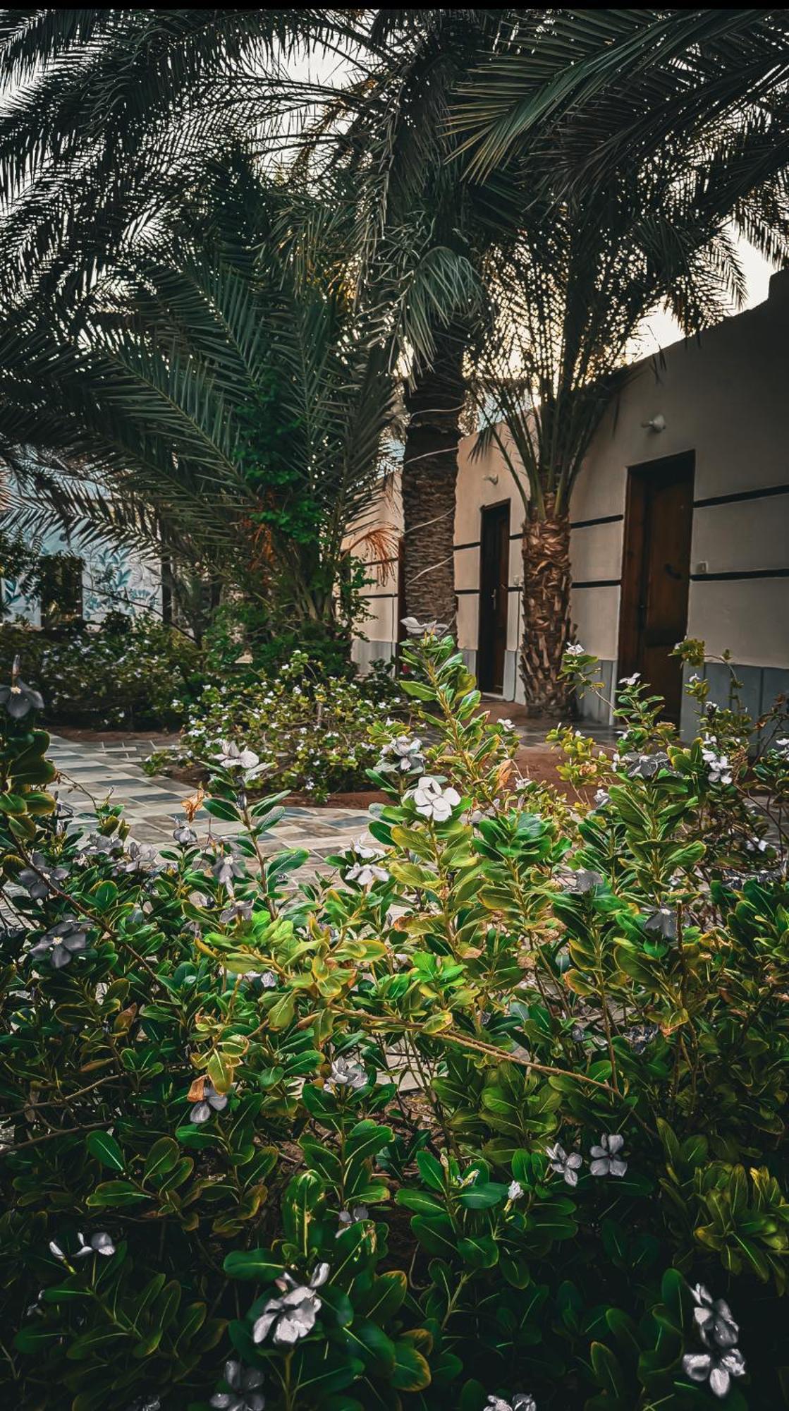 Miramar Camp Dahab Hotel ภายนอก รูปภาพ
