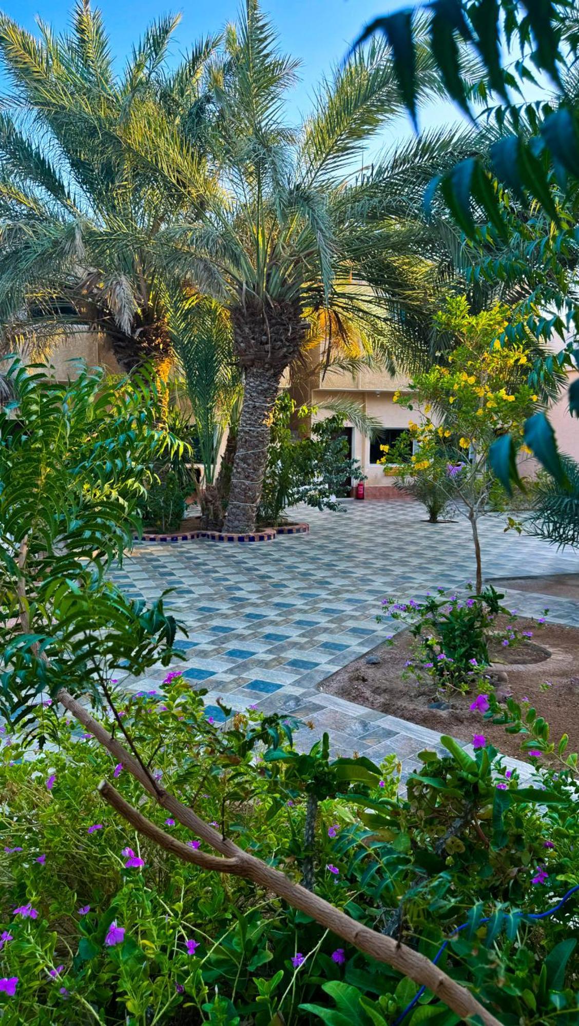 Miramar Camp Dahab Hotel ภายนอก รูปภาพ