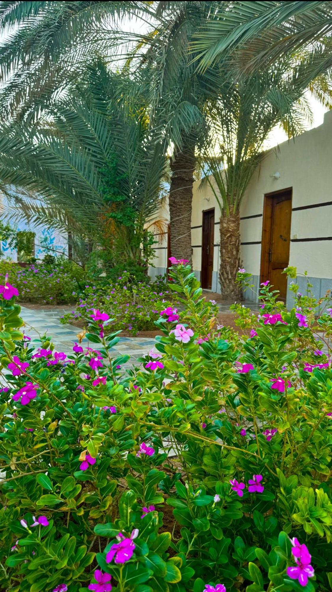 Miramar Camp Dahab Hotel ภายนอก รูปภาพ