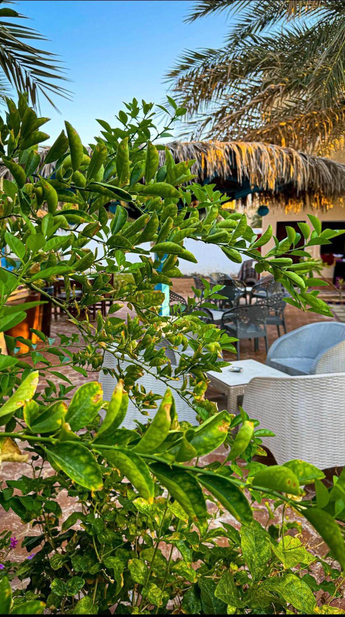 Miramar Camp Dahab Hotel ภายนอก รูปภาพ