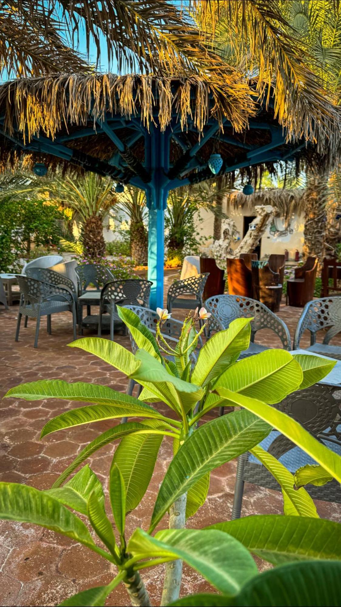 Miramar Camp Dahab Hotel ภายนอก รูปภาพ