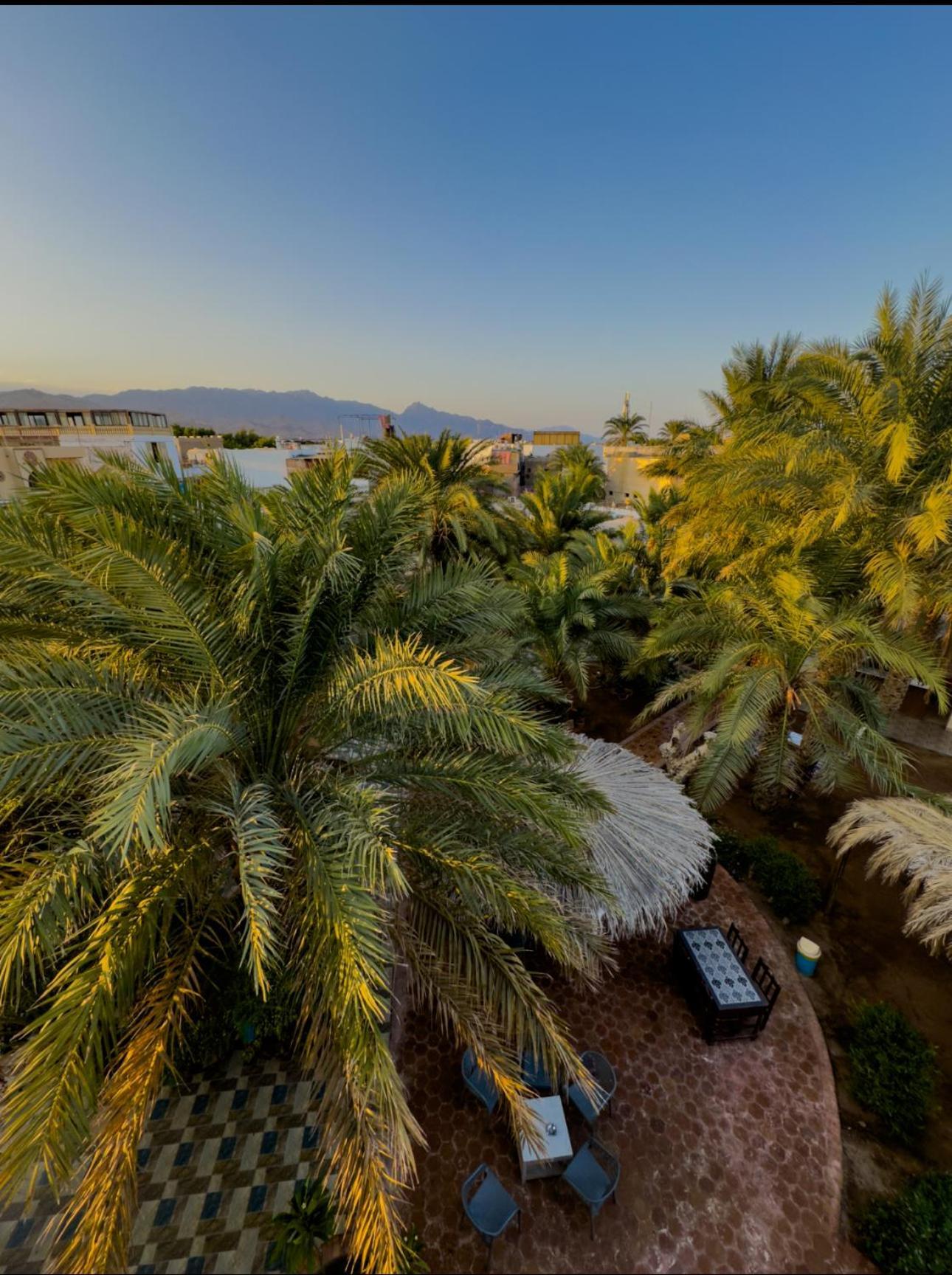 Miramar Camp Dahab Hotel ภายนอก รูปภาพ
