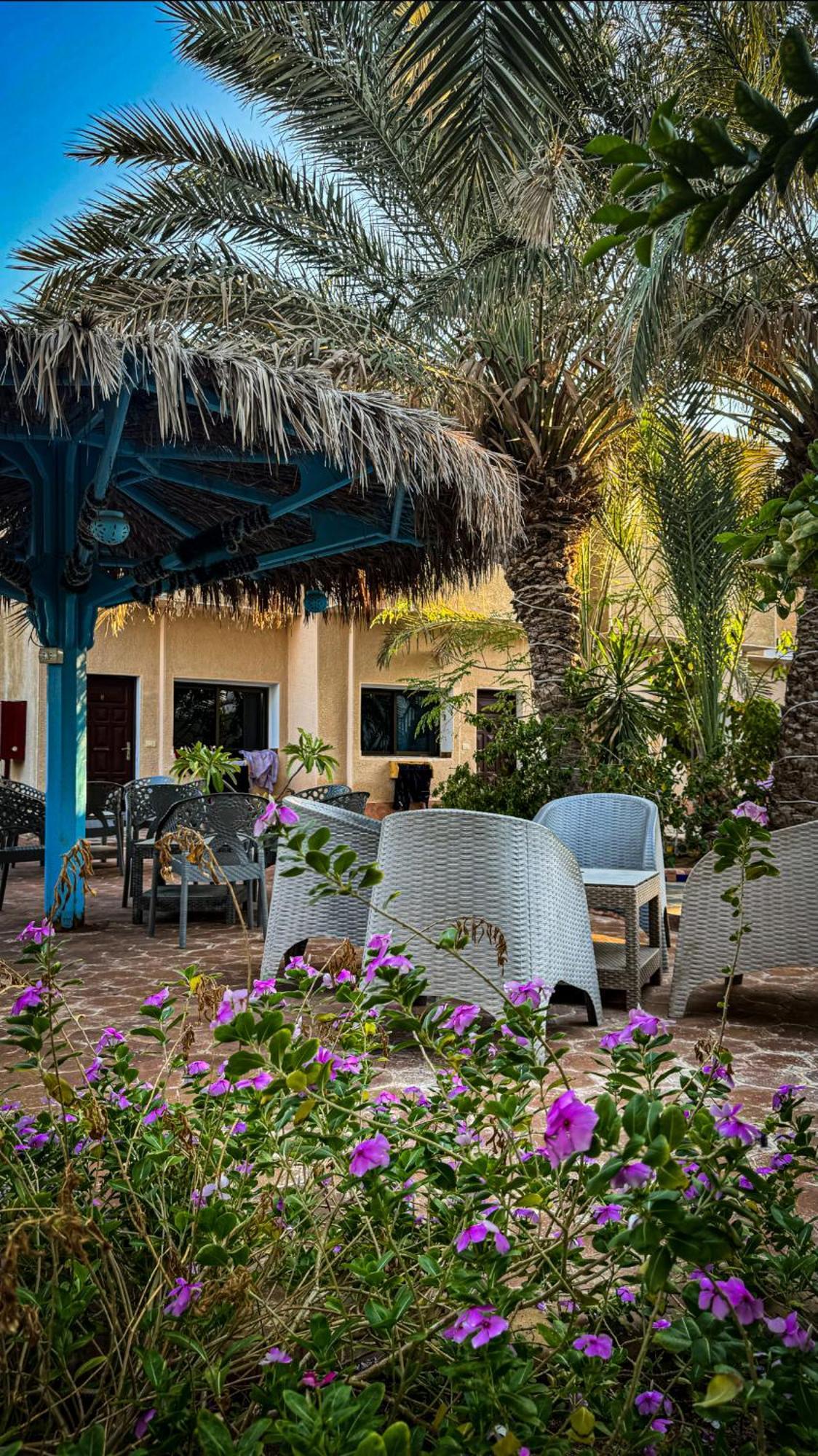 Miramar Camp Dahab Hotel ภายนอก รูปภาพ