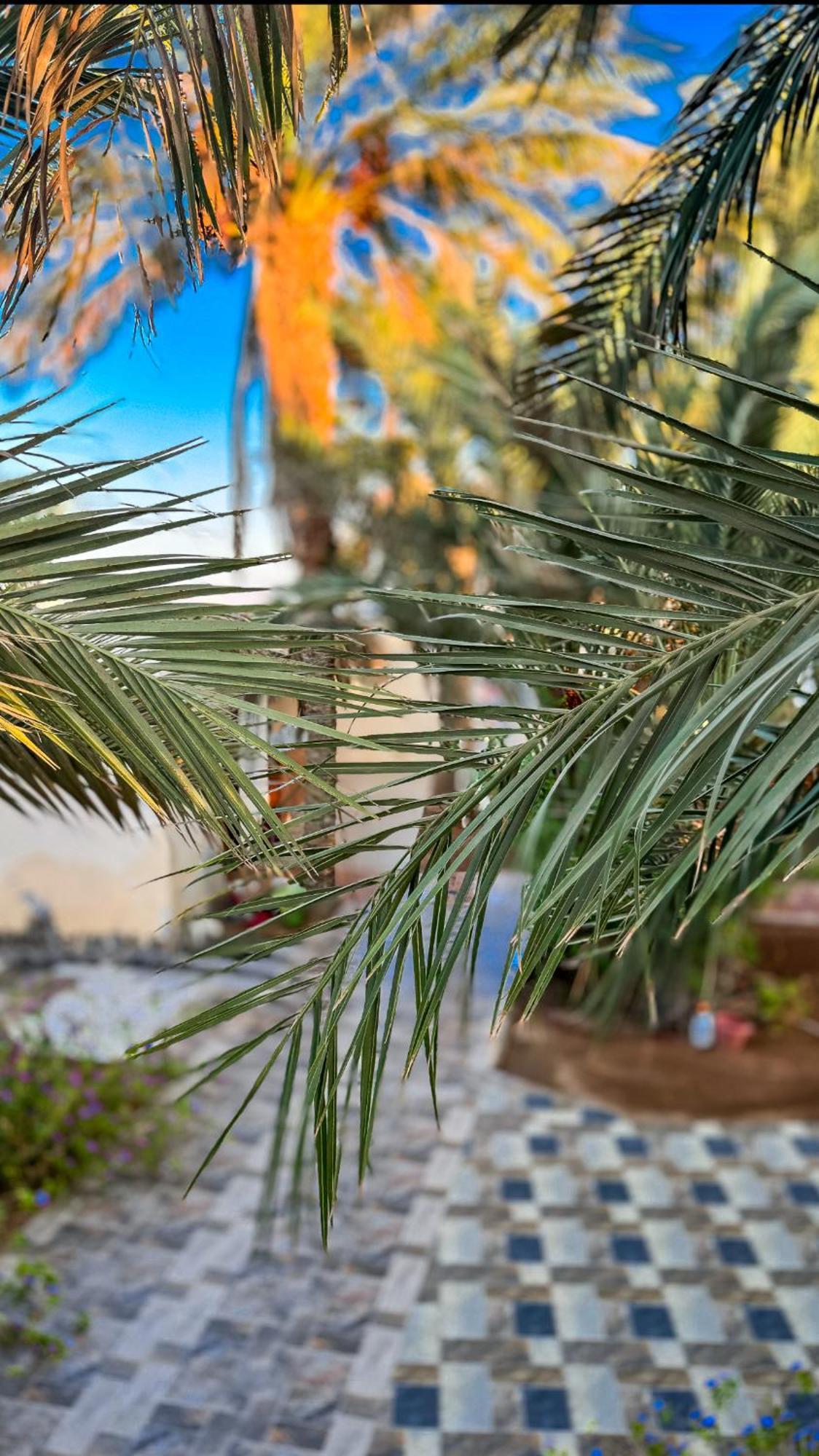 Miramar Camp Dahab Hotel ภายนอก รูปภาพ