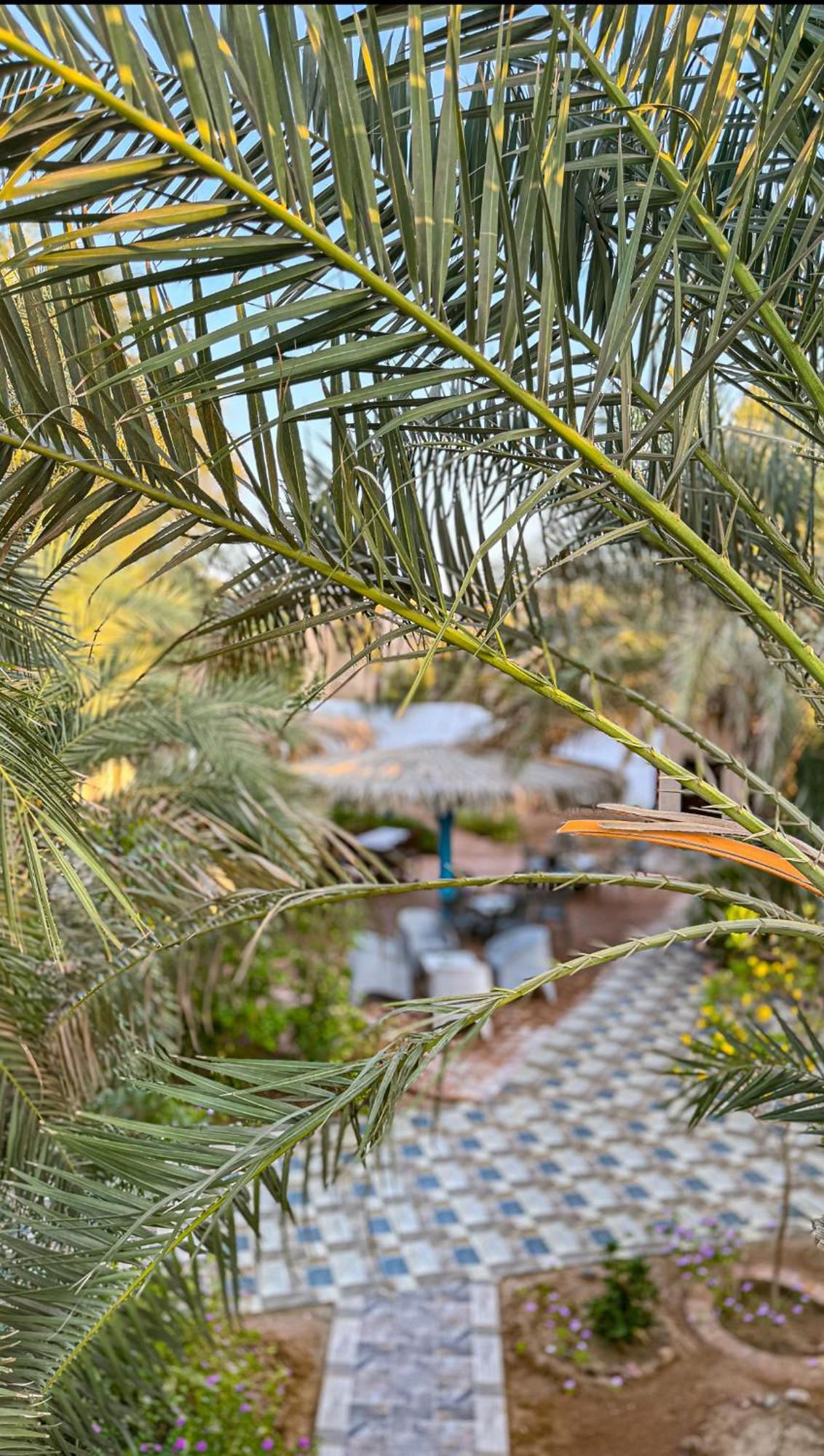 Miramar Camp Dahab Hotel ภายนอก รูปภาพ
