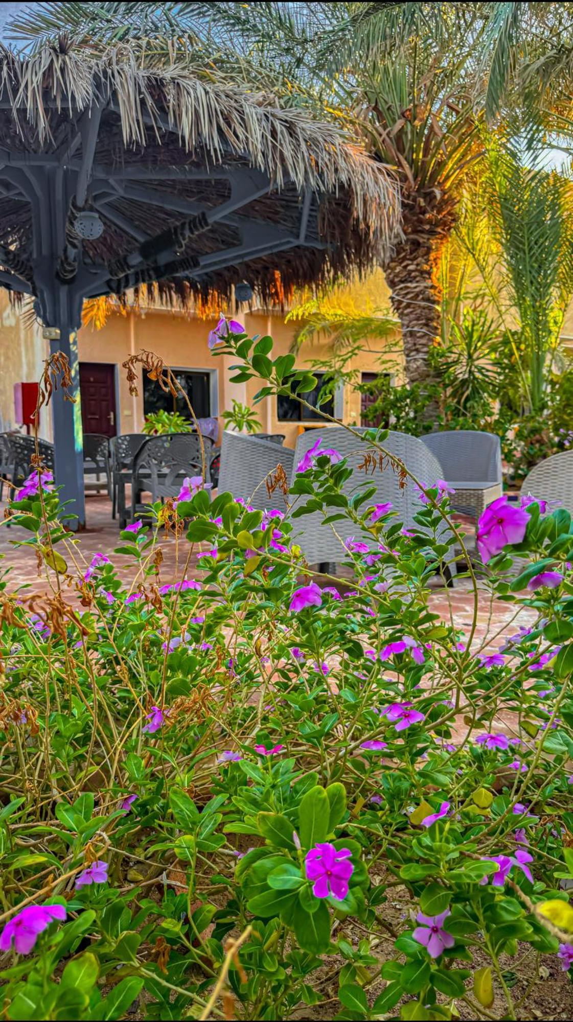 Miramar Camp Dahab Hotel ภายนอก รูปภาพ