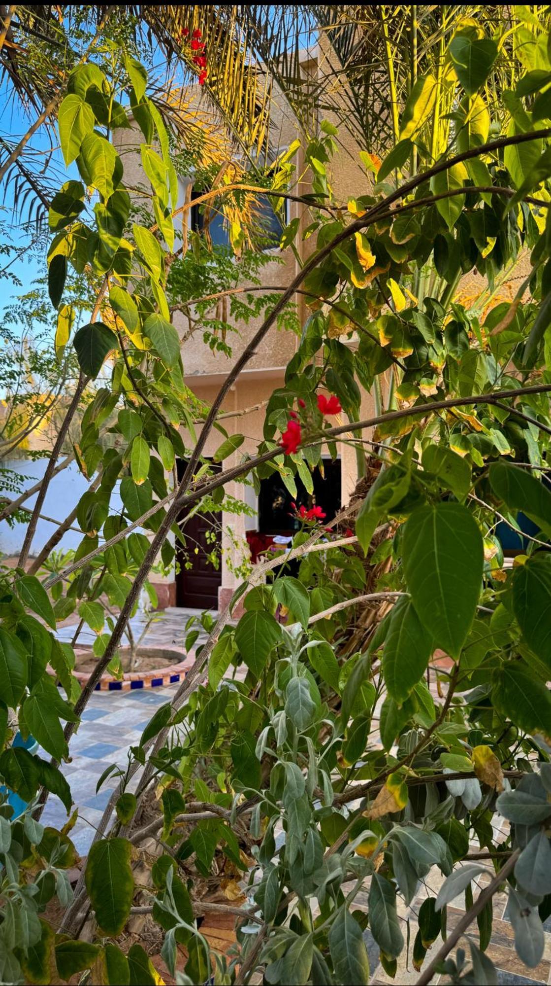 Miramar Camp Dahab Hotel ภายนอก รูปภาพ