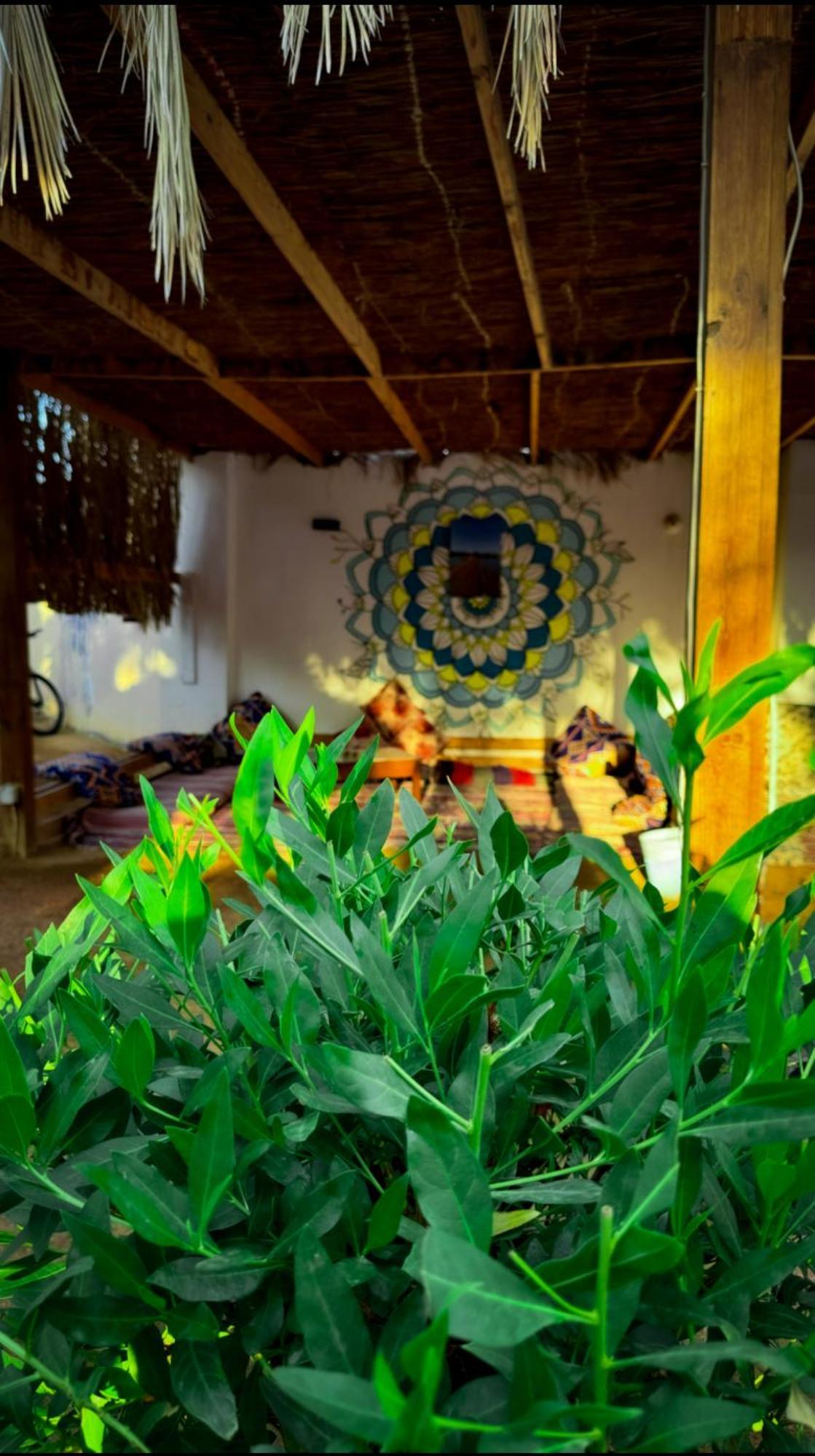 Miramar Camp Dahab Hotel ภายนอก รูปภาพ
